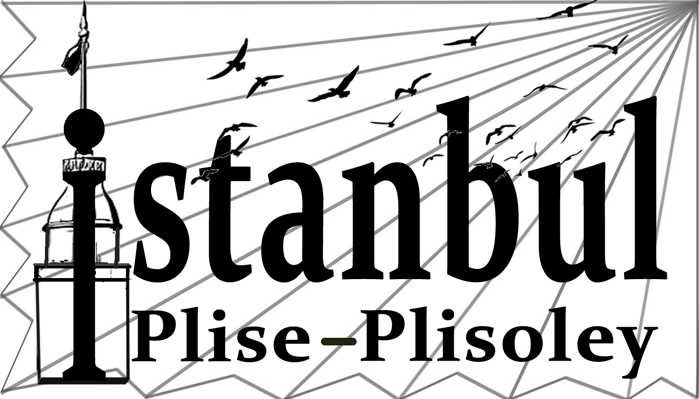 İstanbul Pile logo
